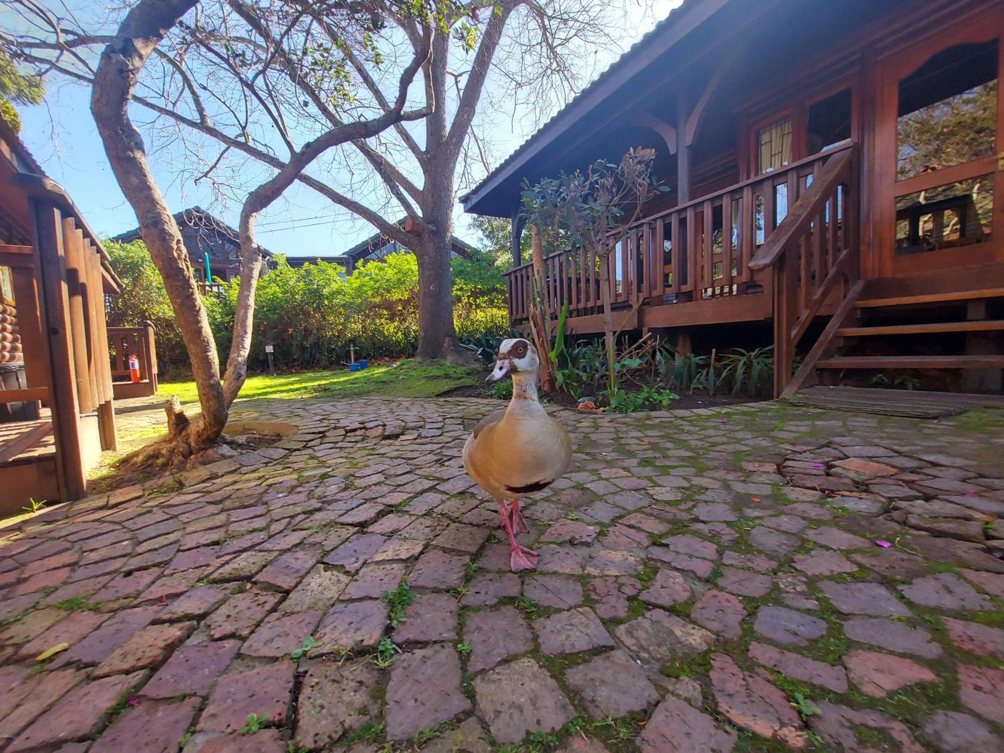 Knysna River Club By First Private Stays Екстер'єр фото
